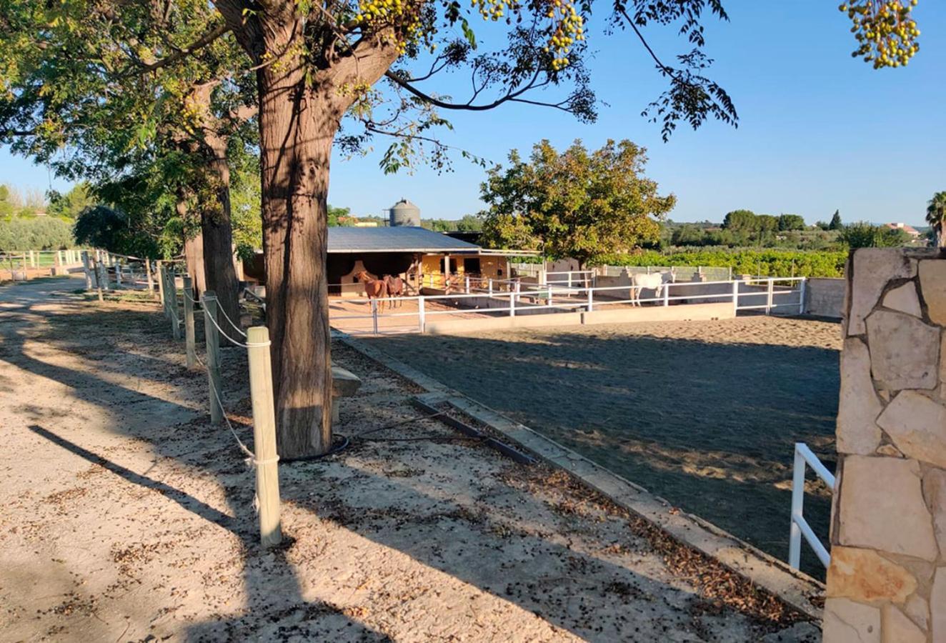 Holiday home En Yeguada Vistabella. *
